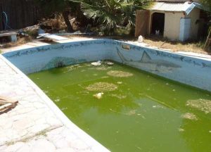 Nettoyer sa piscine, ou le calvaire des gens heureux
